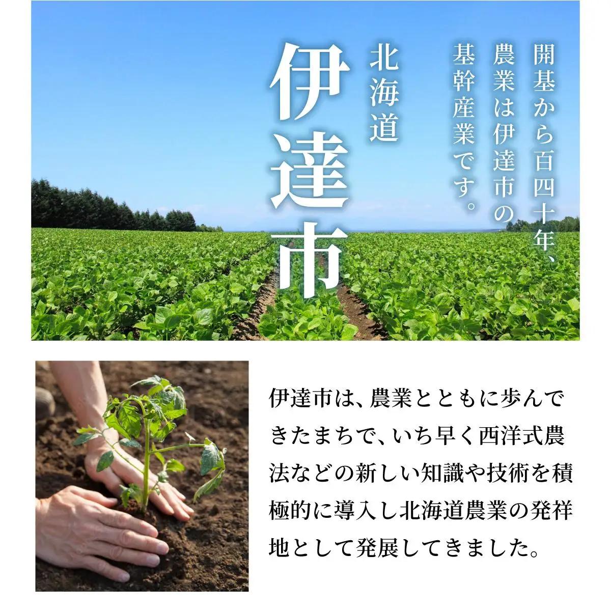 ＜先行予約＞北海道伊達産 ミニトマト 甘っこ 3kg【55250940】