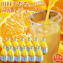 【ふるさと納税】果汁100％田村そだちみかんジュース　180ml×12本