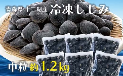 青森県 十三湖産 冷凍しじみ （中粒） 約1.2kg 【小野や】貝 しじみ 蜆 シジミ 魚貝 魚貝類 魚介類 冷凍 調理 料理 中泊町 青森 F6N-093