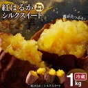 【ふるさと納税】焼き芋 1kg 紅はるか シルクスイート 500g 2パック 蜜たっぷり 冷やし焼き芋 ひえひえ君 芋スイーツ さつまいも 真空パック 甘い 焼き芋専門店 やきいも丸じゅん 愛知県 碧南市 お取り寄せ 冷蔵 送料無料