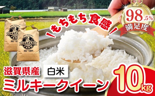 
                   令和7年産 ミルキークイーン 白米 10kg 【V010W1】 米 5kg 10kg 白米 みるきーくいーん 国産 農家直送 環境こだわり お米 こめ おこめ 先行予約 農家直送 産地直送 滋賀県 近江八幡市
                