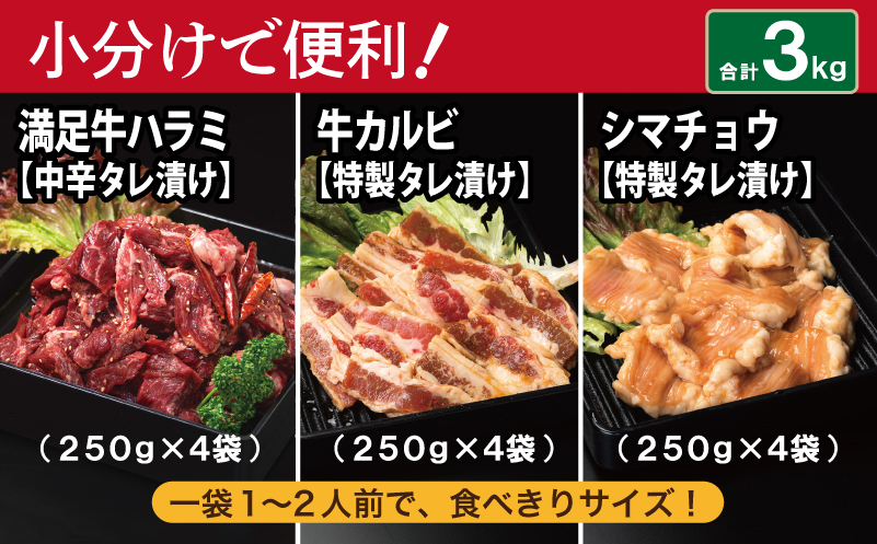 【タレ漬け3種の牛焼肉セット】 満足牛ハラミ・牛カルビ・シマチョウ 合計3kg【味付け ハラミ 小分け 焼くだけ 簡単調理 BBQ 牛肉 250g×各4P】 099H3716