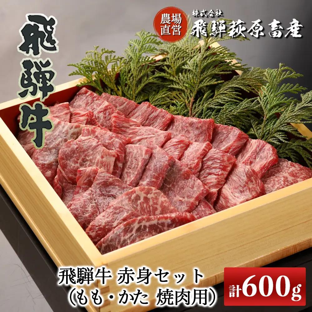 飛騨牛赤身焼肉セット 600g（もも焼肉 300g・かた焼肉 300g）【22-27g】