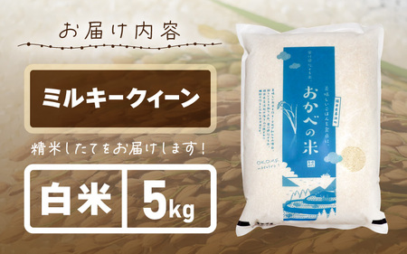 【年内配送】令和6年産 ふっくら モチモチ食感 大人気 濃厚 ミルキークィーン（白米）5kg [m29-a001]