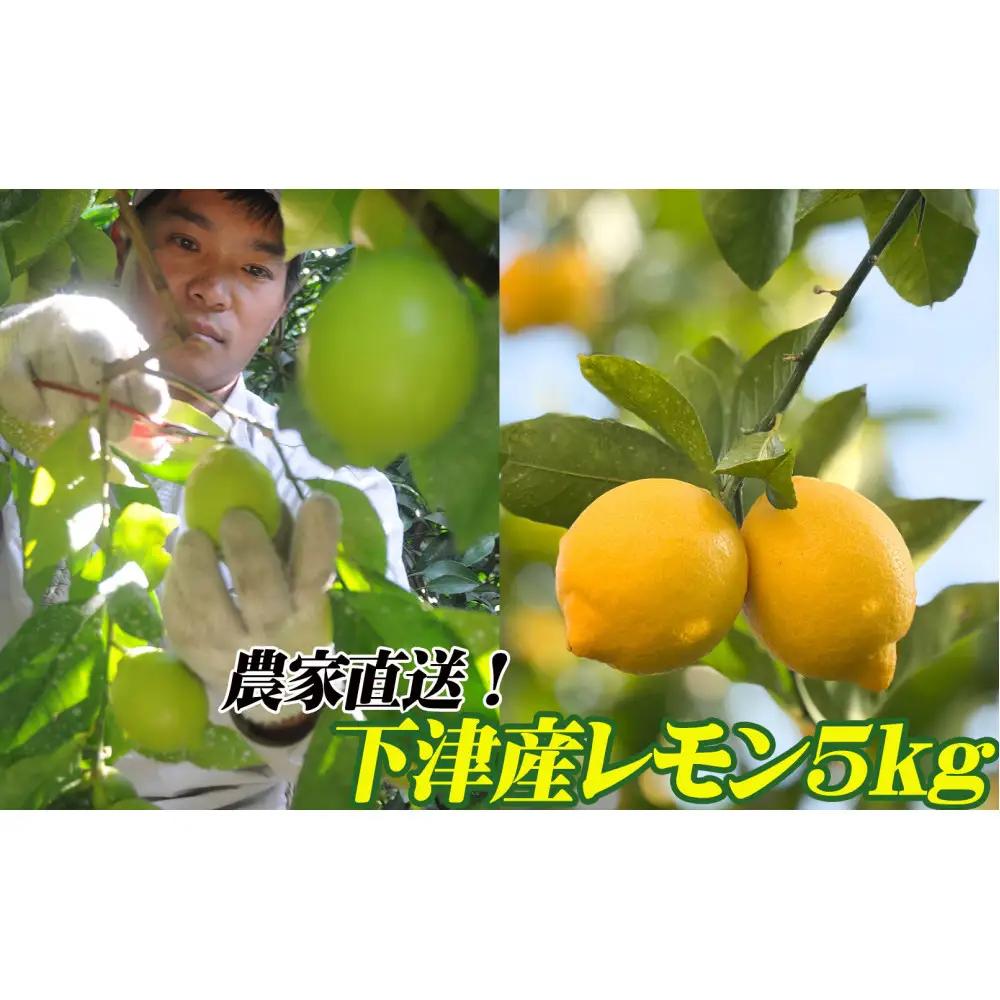 レモン 約5kg 大小混合サイズ ちょっと訳あり 11月～2月に鈴木みかん農園より農園直送！ 青いレモン 黄色いレモン ※北海道・沖縄・離島への配送不可