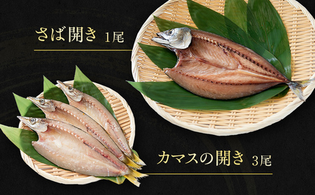 【氷見直送】本物のこだわり！半七の干物詰め合わせセット　【カマス・魚貝類・干物・鯖・サバ】