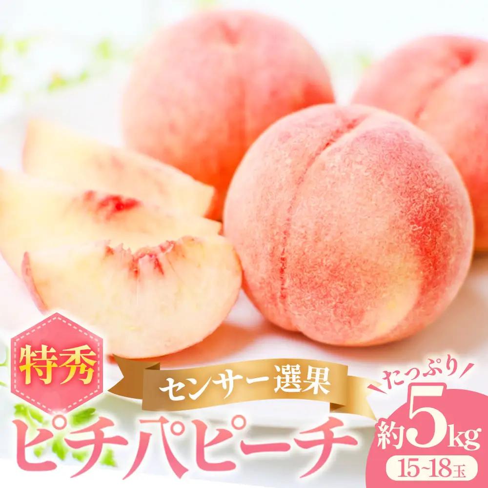 青森県産桃 約5kg 桃 もも