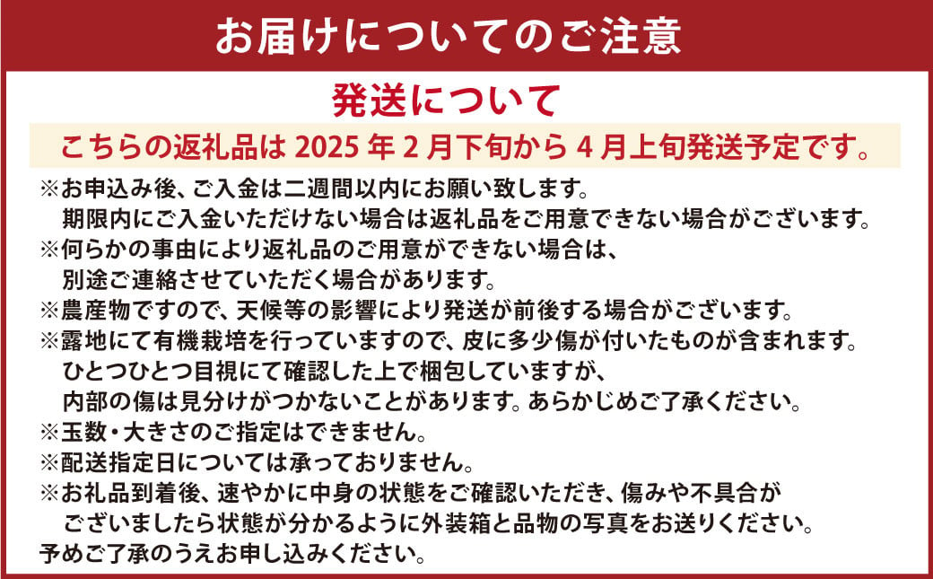 特別栽培パール柑(天草文旦) 9kg サイズミックス