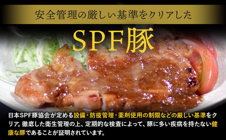 豚ロース 味噌漬け 10枚入 独楽 送料無料《30日以内に出荷予定(土日祝除く)》 福岡県 鞍手郡 鞍手町 豚 ロース