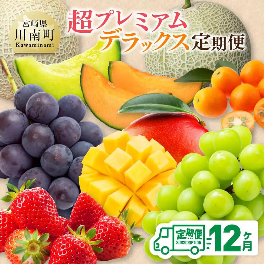 【 12ヶ月定期便 】 超 プレミアム デラックス 定期便 【 川南町産 くだもの きんかん いちご 完熟 マンゴー ぶどう ピオーネ シャイン マスカット 大玉 メロン 】