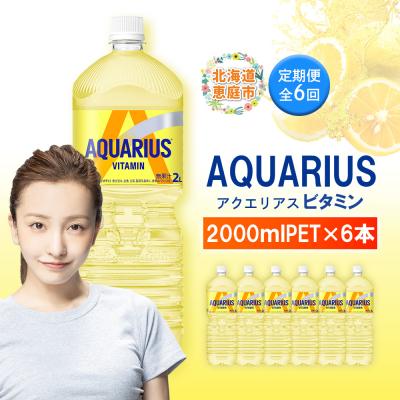 ふるさと納税 恵庭市 【定期便:全6回】アクエリアス ビタミン 2LPET×6本【38009001】