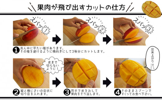 【先行受付】【2025年発送】生産組合が育てる厳選・完熟マンゴー約2kg_イメージ3