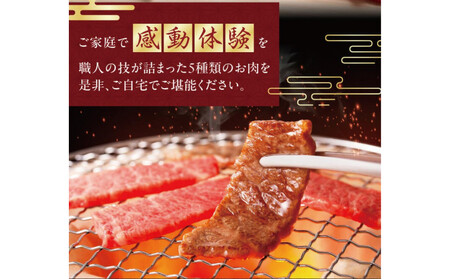 至高の焼肉　極　5種盛りセット　合計500g