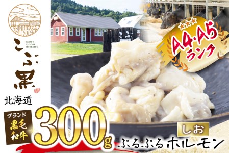 北海道産 黒毛和牛 こぶ黒 和牛 しお ホルモン 300g 