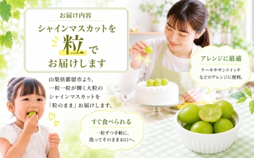 【2027年先行予約】山梨県産 シャインマスカット（粒）約500g