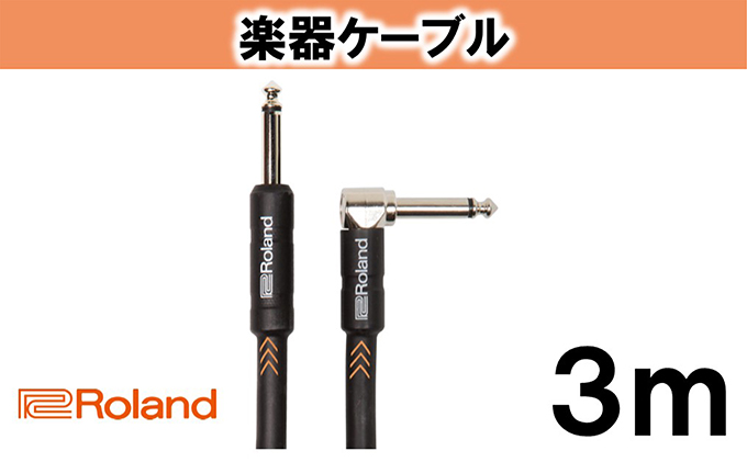 【Roland純正】楽器ケーブル 3m/RIC-B10A【配送不可：離島】