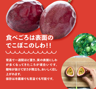 【 2025年 先行予約 】 ルビー色の トロピカルフルーツ ！ パッションフルーツ 【 家庭用 】約1kg A052-003 パッション 甘酸っぱい 果肉 フルーツ 果物 南国 酸味 甘い デザート