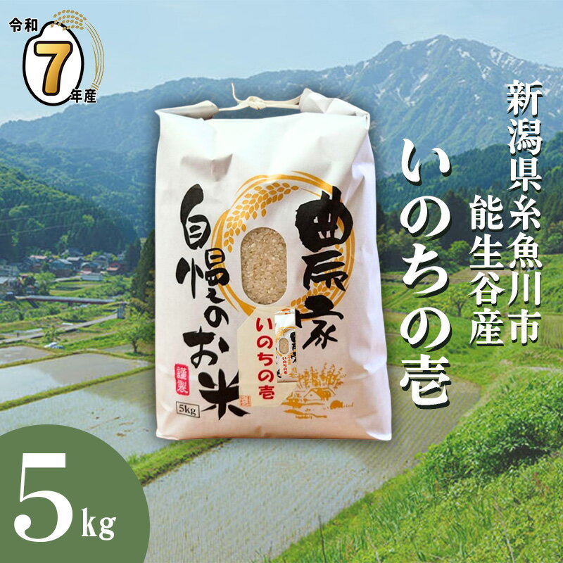 【ふるさと納税】選べる発送月 米 令和7年産 いのちの壱 5kg 新潟県産 農家直送 プロが認める 棚田米 糸魚川 能生谷産 コシヒカリの変異株 いのちの壱 幻の米 希少な米 こしひかりの1.5倍 大粒 農業法人 JATs有限会社 美味しい お米 白米 おにぎり お弁当 2025年