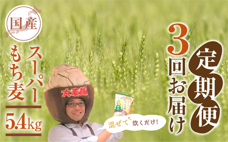 豊橋産スーパーもち麦　定期便 3回（1.8kg×3）