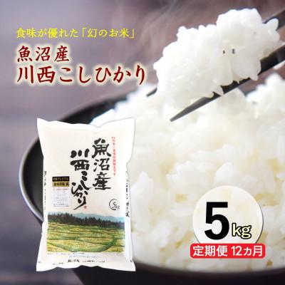 ふるさと納税 十日町市 【毎月定期便】新潟県魚沼産　川西こしひかり　精米　5kg全12回