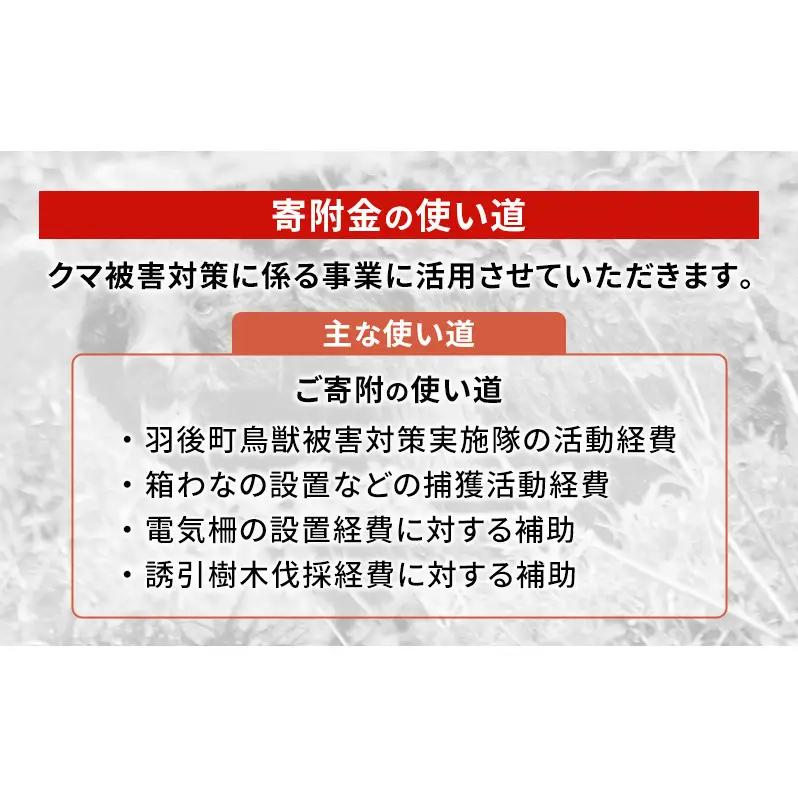 【返礼品なし】クマ被害対策支援（秋田県羽後町）10,000円 応援 支援 寄附のみ【羽後町ふるさと納税】