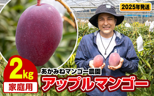 【2025年発送】あかみねマンゴー農園　家庭用アップルマンゴー2kg