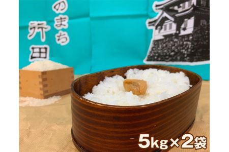 行田のお米 忍城献上米10kg［むかさ商店］ No.049