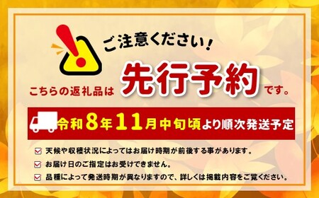 【先行受付】松本市産  訳ありサンふじ 約３kg( 8～12玉) 