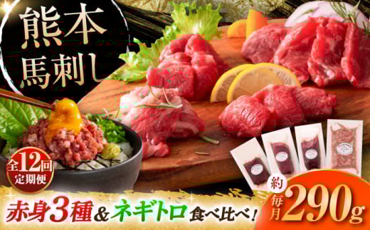 【全12回定期便】【熊本特産】赤身馬刺し3種とネギトロの詰め合わせ 3891 /  馬刺し 熊本馬刺し 熊本 菊陽  ネギトロ 醬油 生姜 タレ ロース 赤身【株式会社フジチク】 [BHAD068]