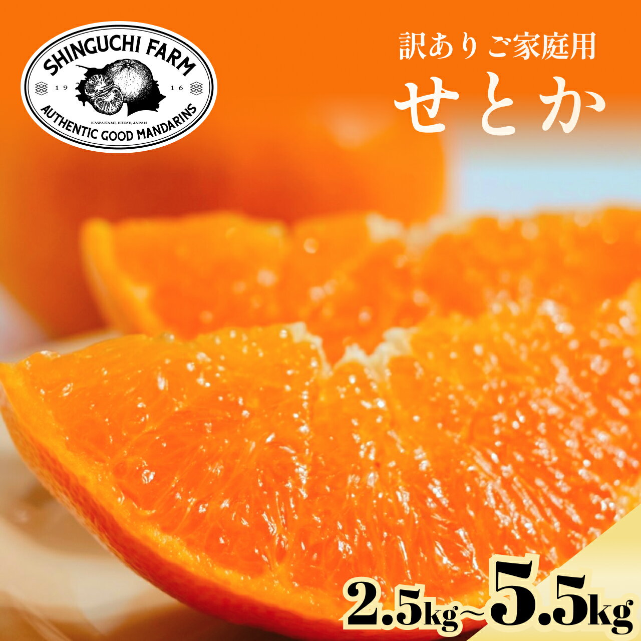【ふるさと納税】【先行受付】訳ありだけど美味しさそのまま【訳あり】せとか 選べる内容量 2.5kg/3.5kg/5.5kg【C70-156】　ふるさと納税 オレンジ みかん せとか 果物 2.5kg 3.5kg 5.5kg 産地直送 愛媛県 八幡浜市 送料無料【1707146】YWTK155