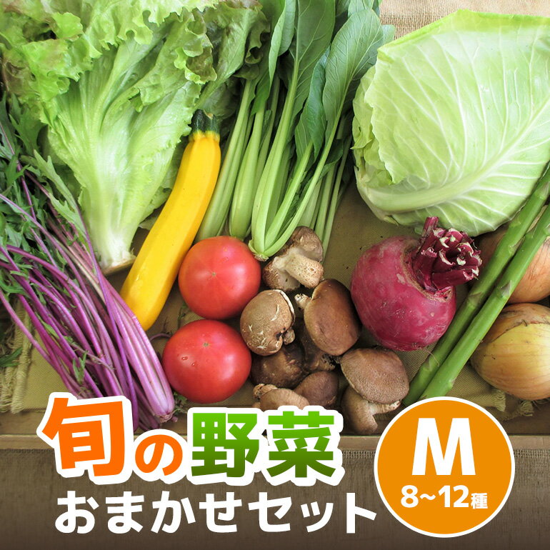 【ふるさと納税】旬の野菜【M】セット【配達不可：北海道・沖縄・離島】 詰合せ