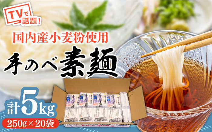 【手のべ陣川】 島原 手延べ そうめん 5kg / SC-55 / 袋入 手延べ 麺 / 南島原市 / ながいけ [SCH018]