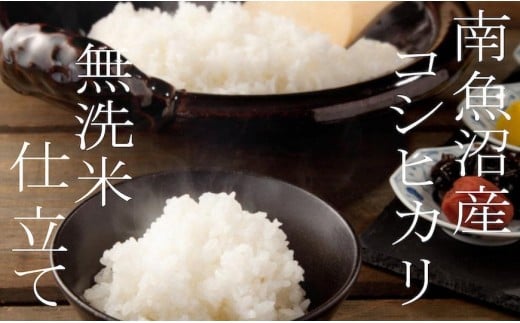 【令和7年産】【定期配送6Kg×全6回】吟精 無洗米 南魚沼産コシヒカリ