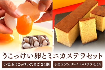 小美玉ミニカステラとうこっけい卵24個（20＋補償4個）セット カステラ かすてら 烏骨鶏 卵 うこっけい 鶏卵 高級卵 高級 国産 ギフト スイーツ 焼菓子 御贈答 お返し たまご 玉子 烏骨鶏の卵 安全 マニアさん 卵焼き 卵かけごはん TKG 37-N