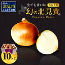 【ふるさと納税】【予約：2024年9月下旬から順次発送】幻の北見黄 北海道北見産 10kg ( ふるさと納税 玉ねぎ ふるさと納税 たまねぎ ふるさと納税 野菜 タマネギ Lサイズ 10キロ 詰合せ 先行予約 )