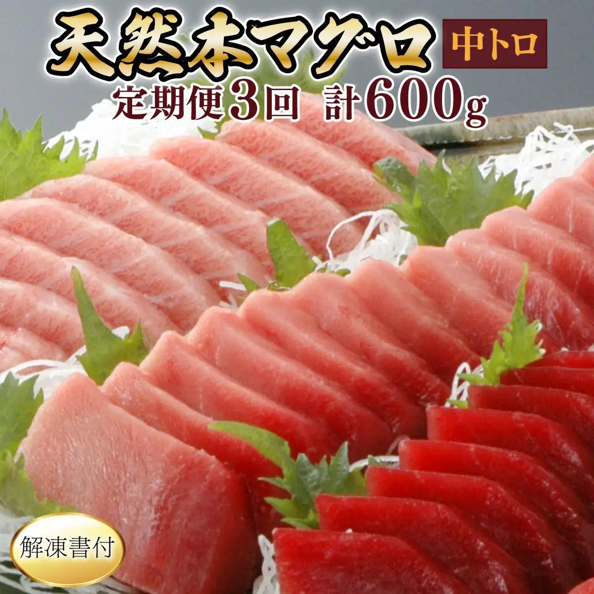 【定期便/計3回】天然本マグロ 中トロ200g（1柵）【まぐろ】eb021