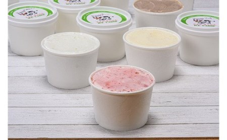北海道産 手作りアイスクリーム 120ml×8個セット (お好み詰め合わせ)  南幌町 国産 NP1-293