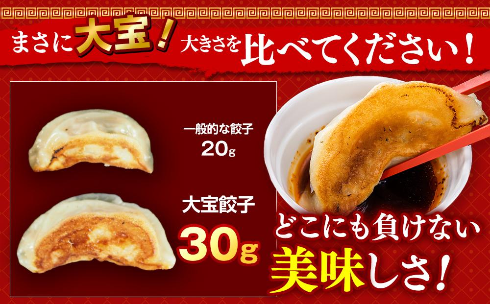 全て国産食材、銘柄豚使用！肉汁あふれる！【横浜大宝餃子】もちもち国産ジャンボ大宝餃子30個ともちもち水餃子40個 老舗餃子メーカー 横浜中華 焼餃子 冷凍餃子 ギョーザ ぎょうざ 大きい 中華 おかず
