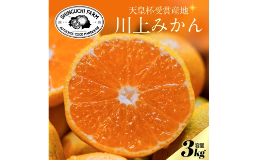 ＜天皇杯受賞産地＞川上みかん 3kg＜愛媛県八幡浜市＞新口農園厳選＜A70-120＞【1683960】 YWTK119