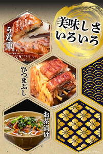大型サイズ ふっくら柔らか 国産うなぎ 蒲焼き 3尾 (約6人前) 化粧箱入_G7311