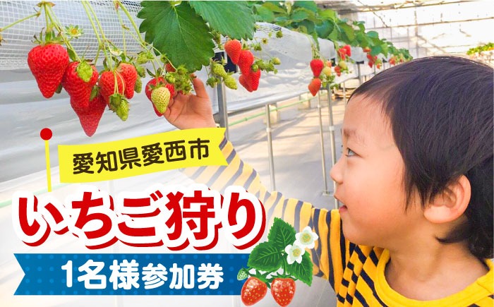 いちご狩り 40分食べ放題 1名様参加券  いちご 苺 いちご狩り食べ放題 愛西市 / 有限会社マロンライフ[AEBN002]