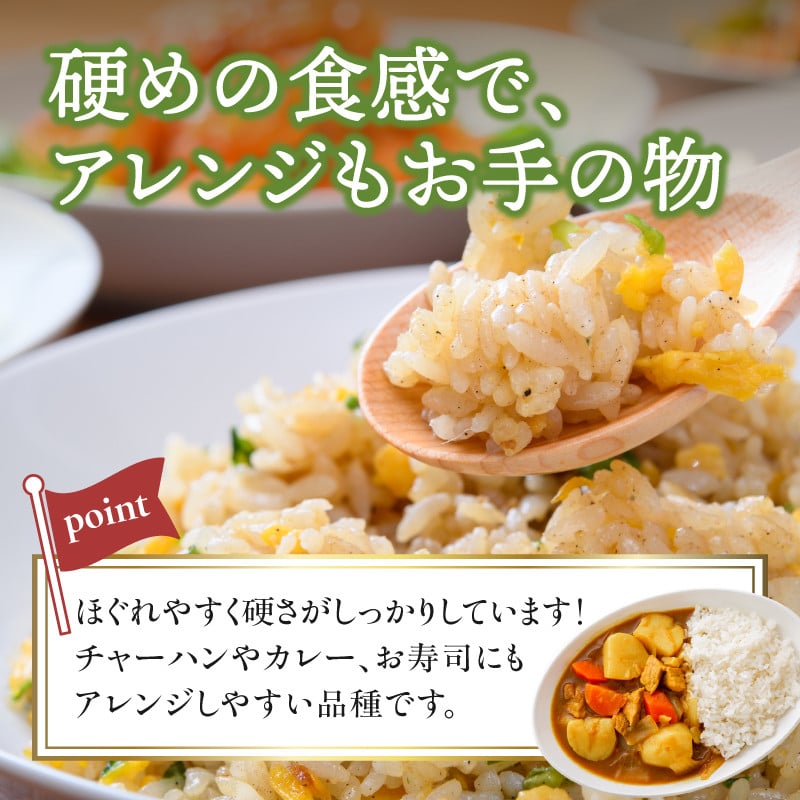 《定期便6ヶ月》特別栽培米 雪若丸 10kg×6回 合計60kg 【山形県産】