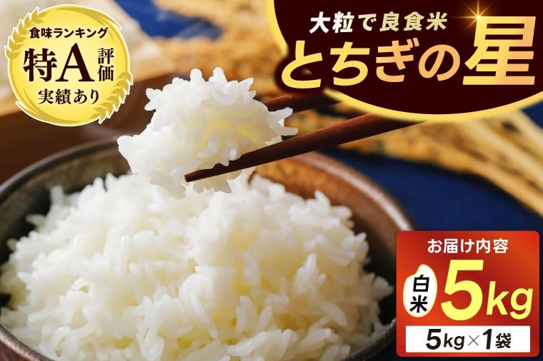 
            ＼新米 先行予約 10月より順次発送予定／★令和7年産★ 米 5kg 白米 精米 「とちぎの星」山崎観光農園 栃木県 益子町 ふるさと納税 お米 とちぎの星 白米 精米 5キロ 高評価 令和7年産 先行予約 (AU023)
          