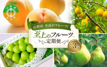2026年8月発送開始 山形県至高のフルーツ！山形県至上のフルーツ定期便 全3回 F4A-0456