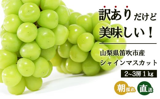 ＜25年発送先行予約＞【訳あり】 シャインマスカット 2～3房 約1kg 154-027 | 不揃い ご自宅用 ご家庭用 フルーツ 果物 高評価 人気 ランキング おすすめ 甘い 美味しい デザート 数量限定 送料無料 山梨県産 笛吹市 ぶどう 「販売」 KEIPE株式会社