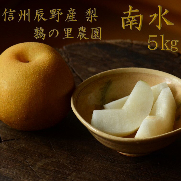 【ふるさと納税】215 先行予約 梨 南水 5kg 【鶉の里農園】