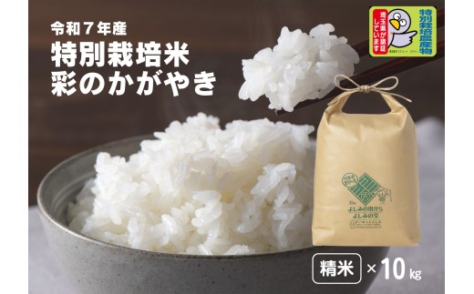 【令和7年産】埼玉県比企郡吉見町産 特別栽培米 彩のかがやき【精米】10kg