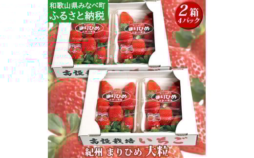 ［先行予約］いちご（まりひめ）大粒サイズ　4パック（2箱） tagfam002A