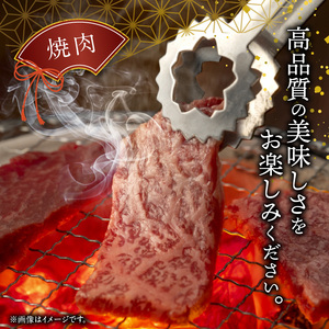 博多和牛 ミスジ焼肉 500g（250g×2p） KY4906