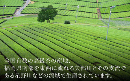 福岡県産八女煎茶とティーバッグ（上煎茶・ほうじ茶）詰合せ＜お茶の星陽園＞那珂川市  14000 14000円 [GAD015]